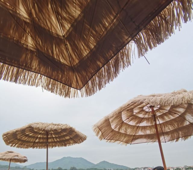 幸福花海旅行图片 1