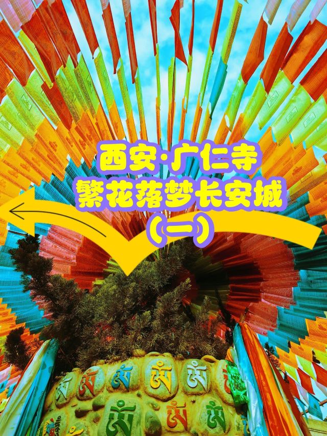 广仁寺旅行图片 1