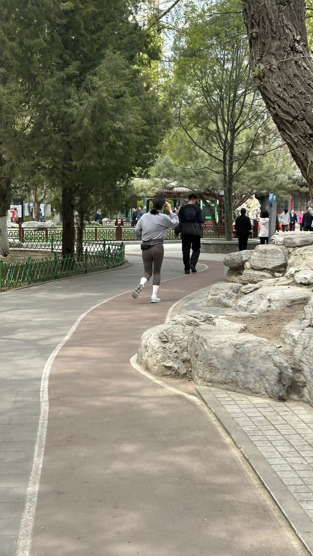 宣武艺园旅行图片 13