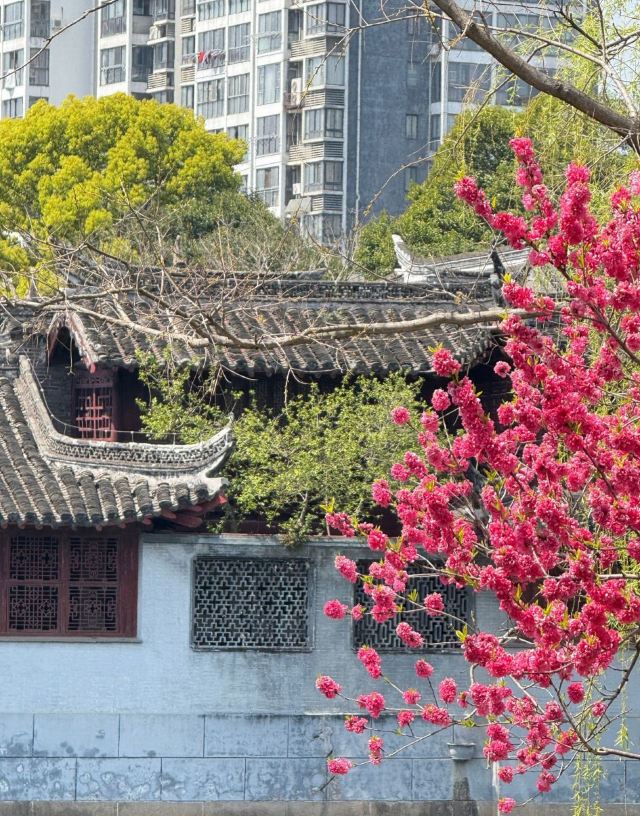 水绘园旅行图片 1