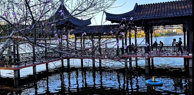 莫愁湖公园旅行图片 7