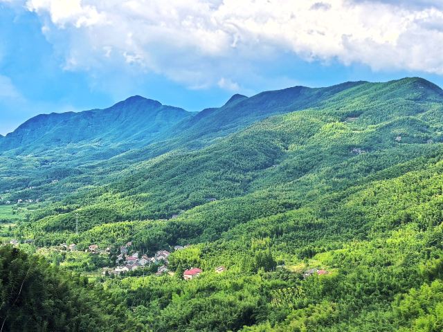 笄山竹海旅行图片 4