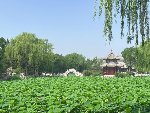 莲池书院博物馆(古莲花池)旅行图片 1