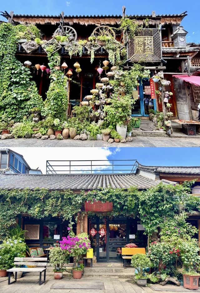 大理古城旅行图片 3