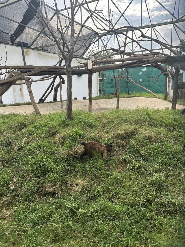 湖南常德野生动物世界旅行图片 3
