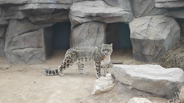 西宁野生动物园旅行图片 2