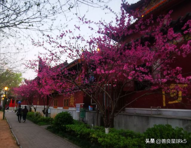 东洲岛旅行图片 1