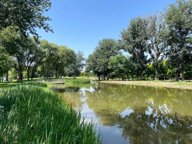 南苑森林湿地公园旅行图片 1