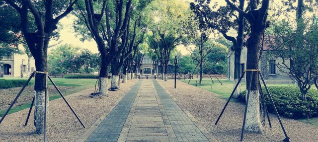 嘉兴子城遗址公园旅行图片 3
