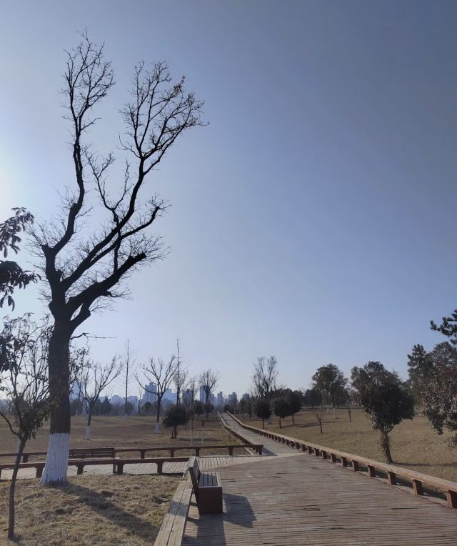 汉太液池遗址旅行图片 2