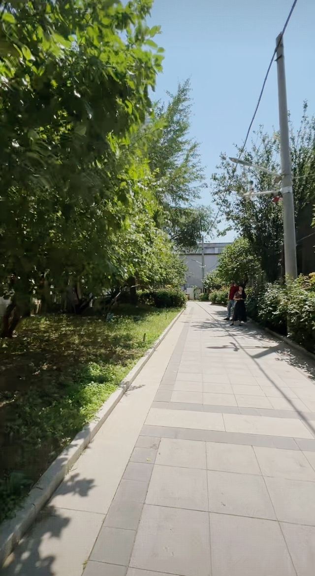 天主教北京总教区西什库主教座堂旅行图片 4