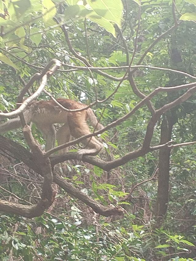 黔灵山公园旅行图片 6