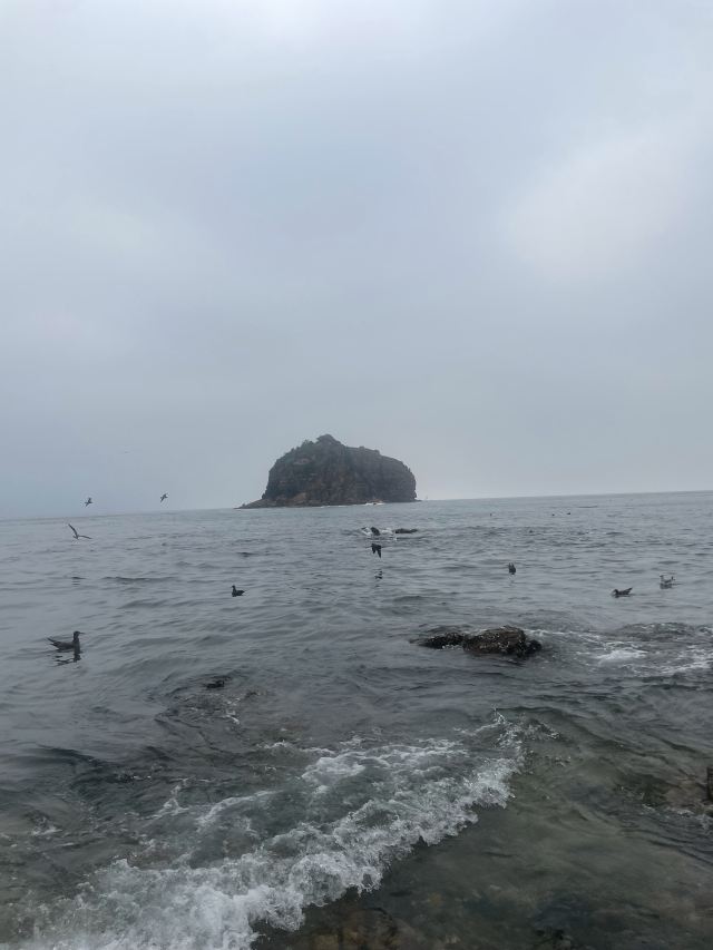 棒棰岛旅行图片 5