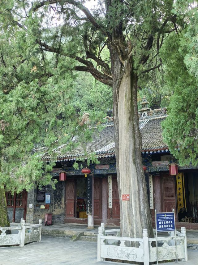 姜子牙钓鱼台风景名胜区旅行图片 6