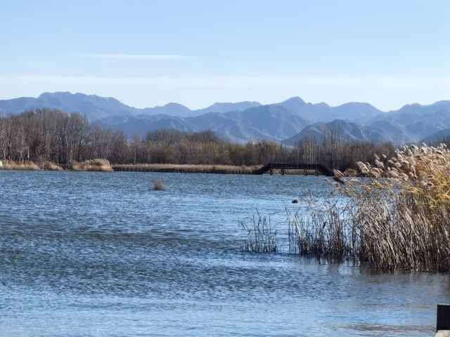野鸭湖国家湿地公园旅行图片 3
