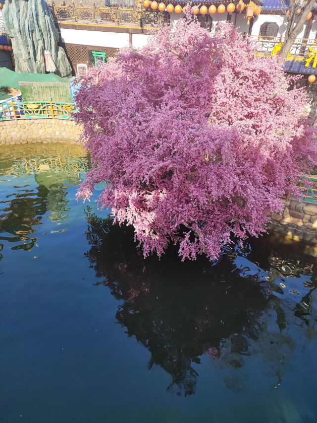 万岁山武侠城旅行图片 2