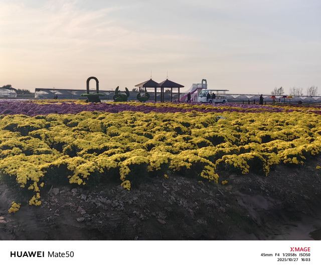 大纵湖旅游度假区旅行图片 3