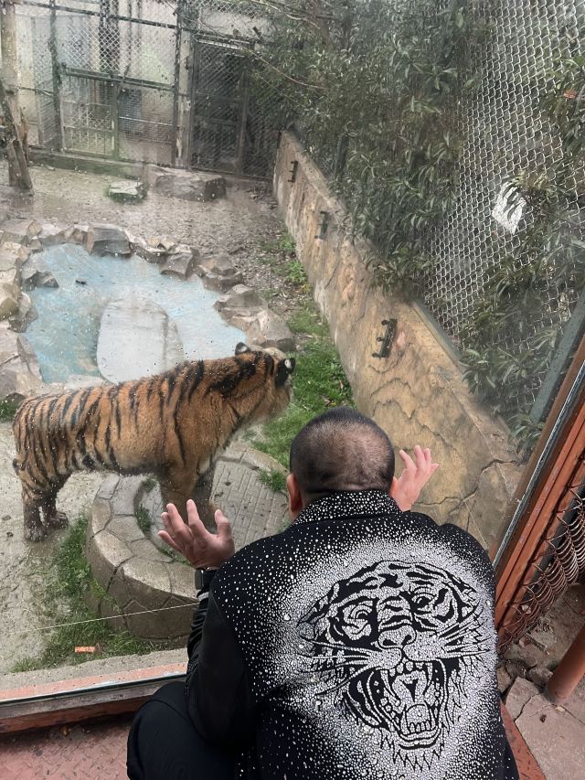 南通森迪旅游度假区旅行图片 1