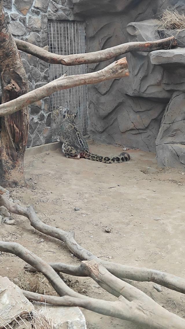 西宁野生动物园旅行图片 3