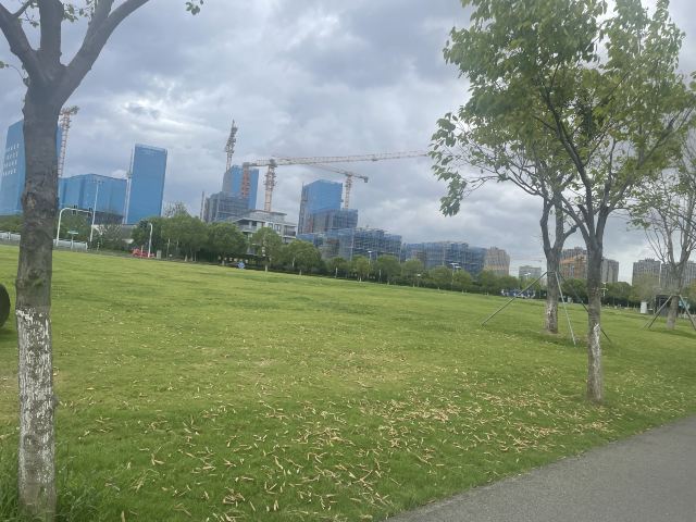 天镜湖公园旅行图片 1
