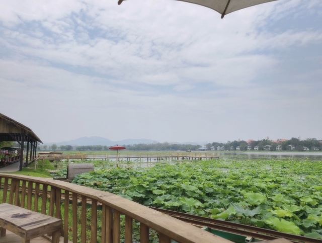 芭西哩湾旅行图片 2