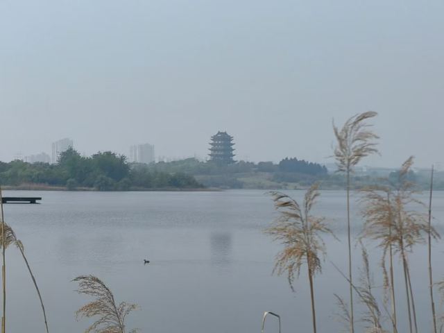 安徽宣城宛陵湖省级湿地公园旅行图片 3