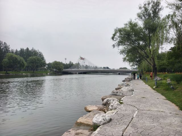 东湖公园旅行图片 13