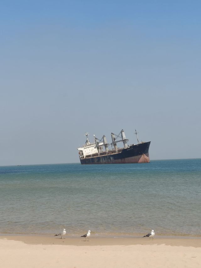 布鲁威斯号搁浅巨轮旅行图片 3