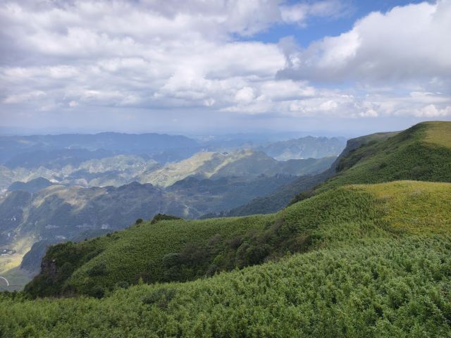 阿西里西韭菜坪旅行图片 2
