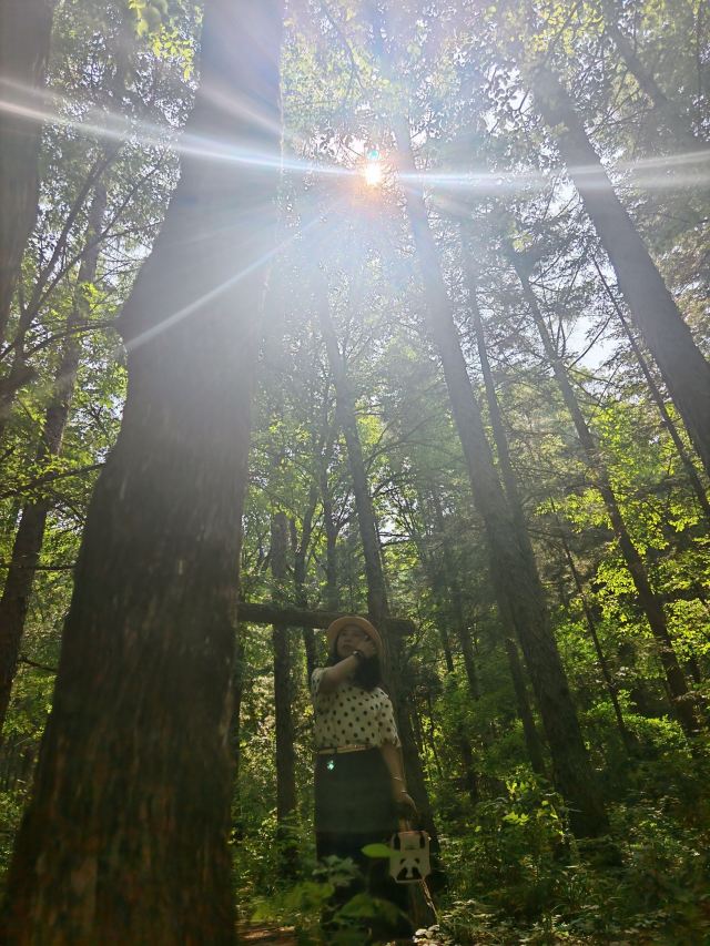 飞泷金山鹿苑旅行图片 1
