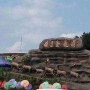 牛棚是农村最差的房子吗？生产队的牛棚是啥样子？究竟能不能住人？季羡林所写的《牛棚杂记》究竟是不是真牛棚？我从一个农村人的角度来讲一下什么是真正的牛棚。在农村每家每户都有牛棚北方冬天冷牛棚就是一间完整的房子。南方气温高牛棚是敞开的。牛棚往往只是一间小屋里面放个牛槽然后就是牛卧的地方到处是牛开元棋牌- 开元棋牌官方网站- 开元棋牌APP下载