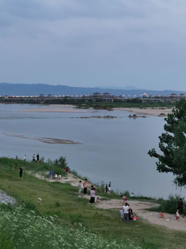 灞渭生态滩区旅行图片 3