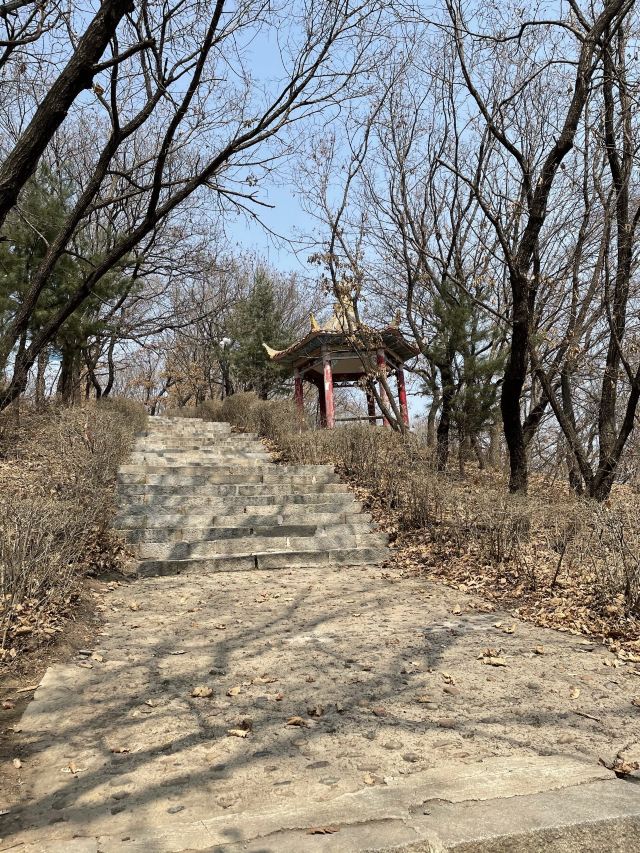 观音山公园旅行图片 3