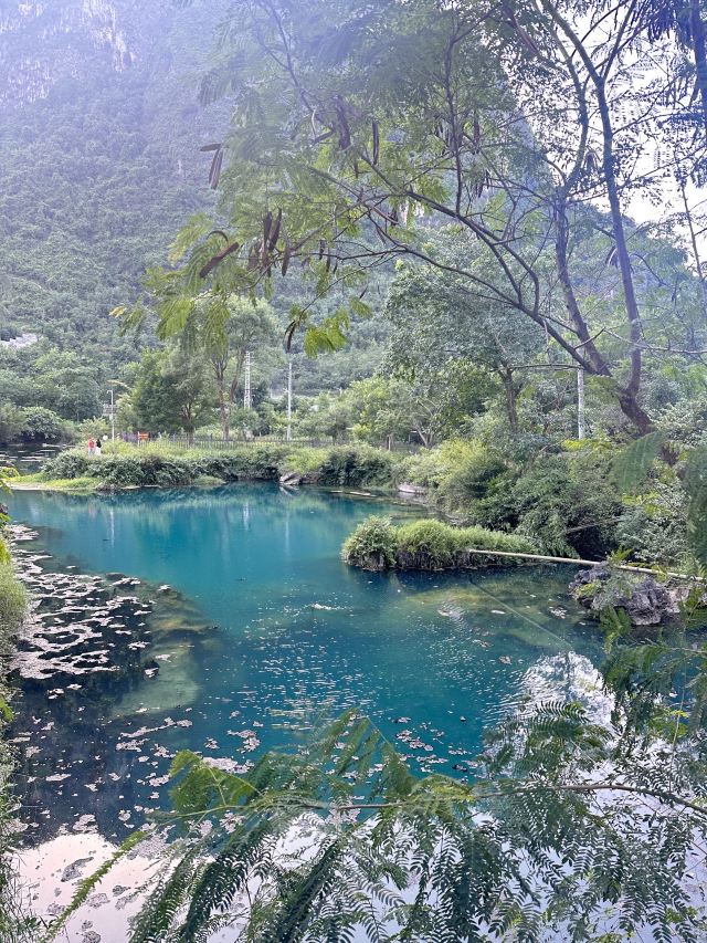 九顿溢流天窗群旅行图片 1