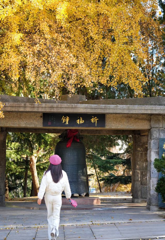 劳动公园旅行图片 2