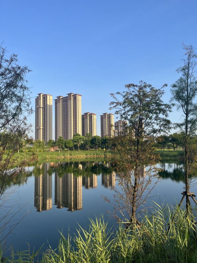 马銮湾双溪湿地公园旅行图片 2