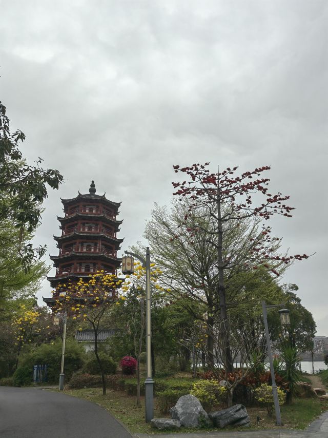 华阳湖国家湿地公园旅行图片 13