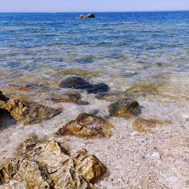养马岛林间花海旅行图片 1