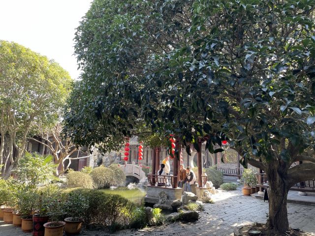 溱潼古镇旅游区旅行图片 1