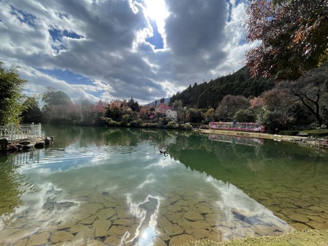 蝴蝶泉旅行图片 5