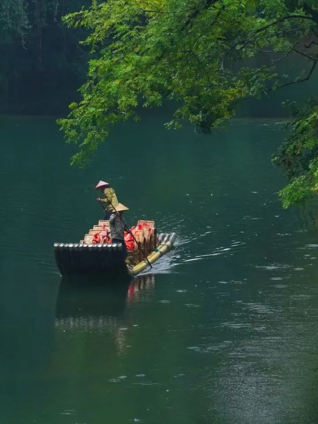 杜鹃湖旅行图片 1