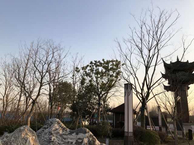 上海浦江之首旅行图片 15