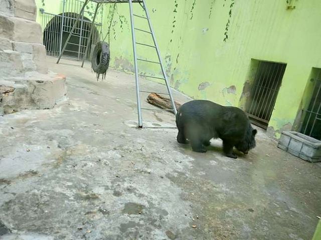 牡丹江珍稀动物园旅行图片 2