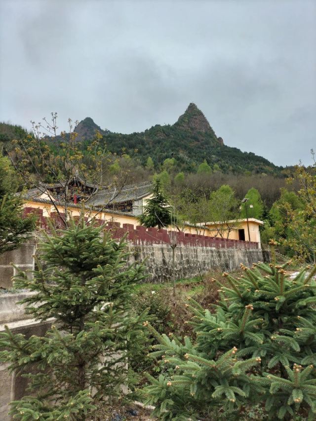 牛头寺森林公园旅行图片 2