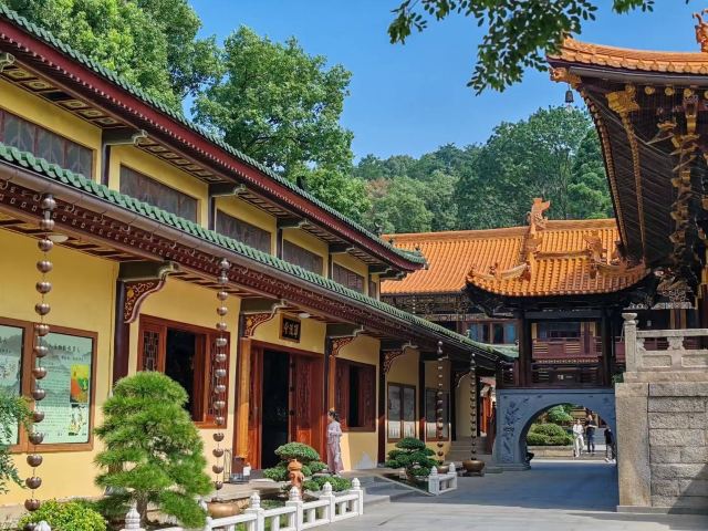 东林寺旅行图片 3