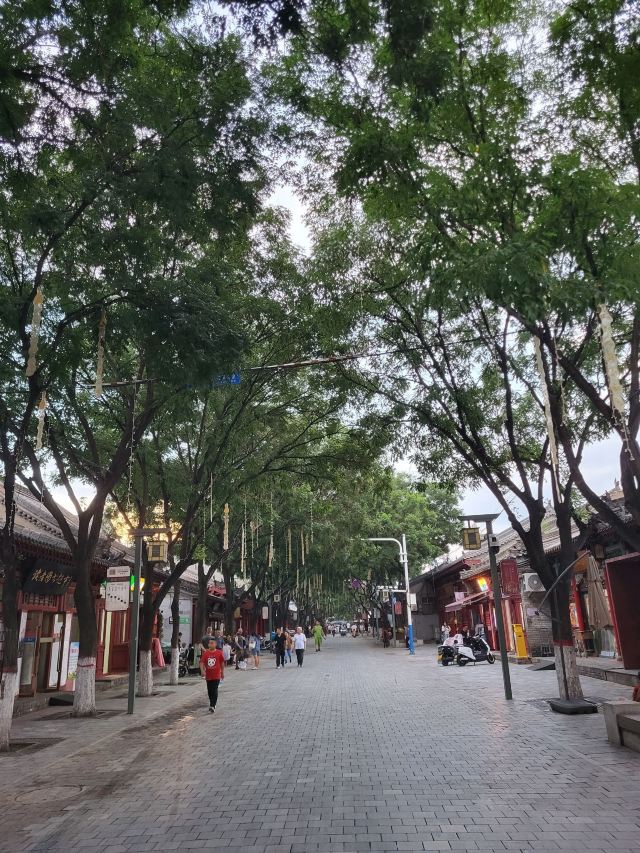 榆林老街旅行图片 3