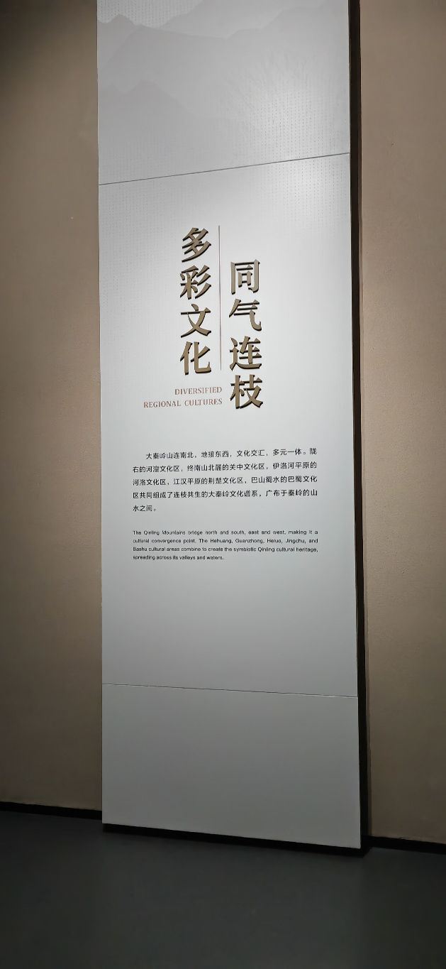 秦岭博物馆广场旅行图片 9