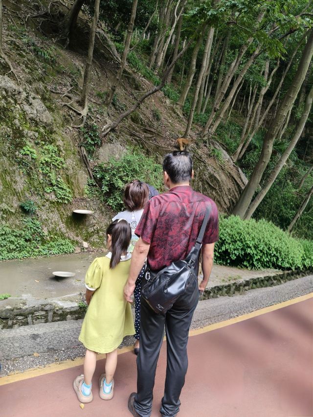 黔灵山公园旅行图片 8