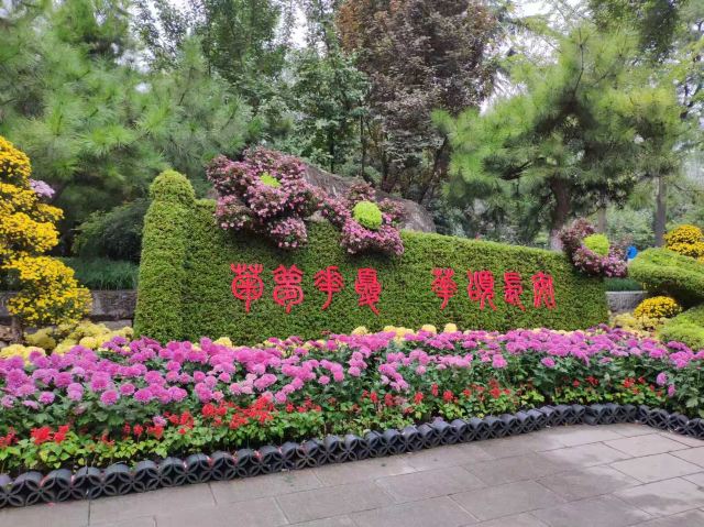 莲湖公园旅行图片 2