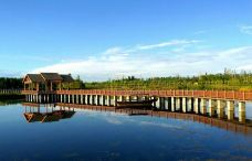 阿克苏多浪河国家湿地公园-阿克苏市-迪肯孔裴矩